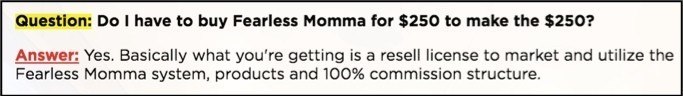 The Fearless Momma - 100% Commissions