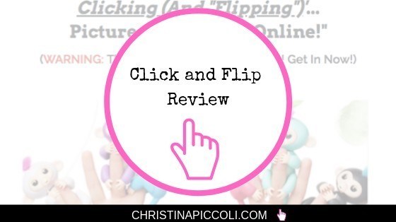 Click and Flip Review