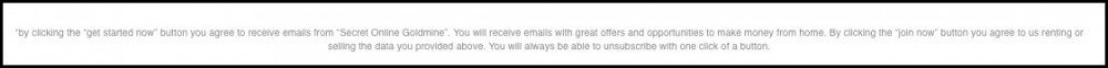 The email disclaimer.