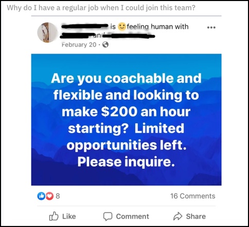 Make $200 an hour with this MLM