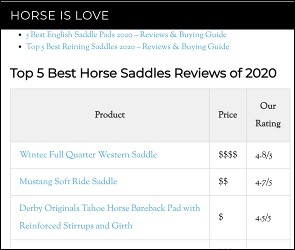 Horse saddle reviews